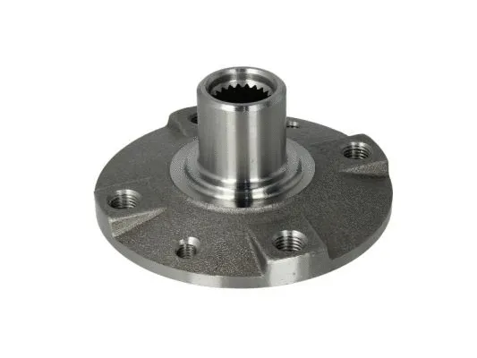 Wheel Hub (H5R003BTA)