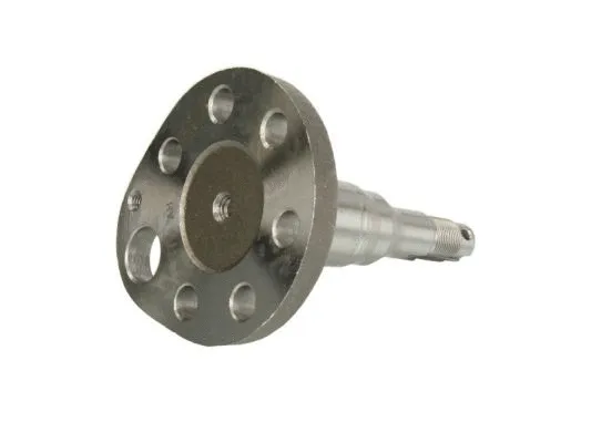 Steering Knuckle, wheel suspension