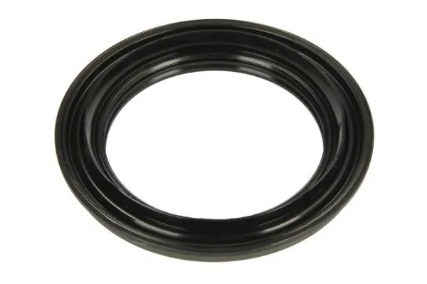 Shaft Seal, wheel hub