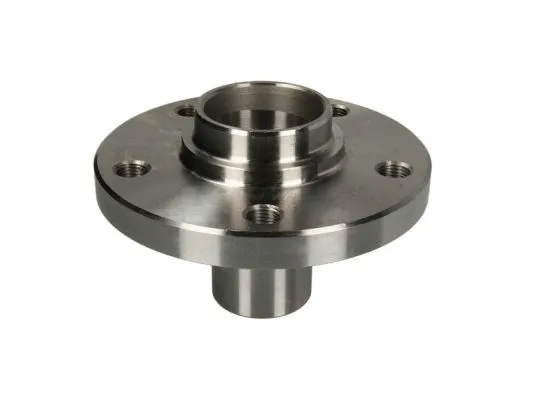 Wheel Hub (H5W006BTA)