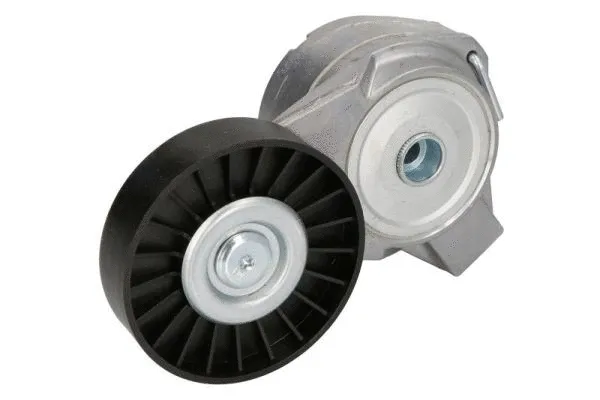 Tensioner Lever, V-ribbed belt (E3X0008BTA)