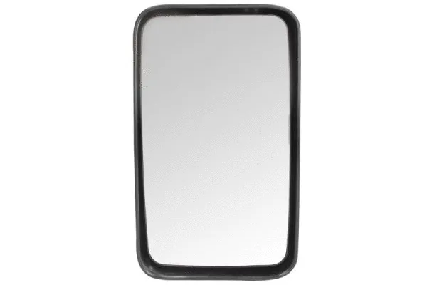 Exterior Mirror (IVE-MR-004)