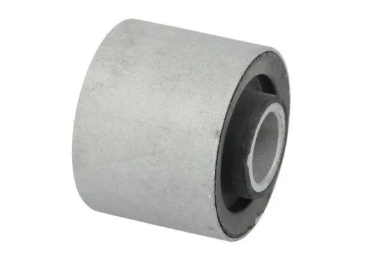Bushing, stabiliser bar (STR-120238)