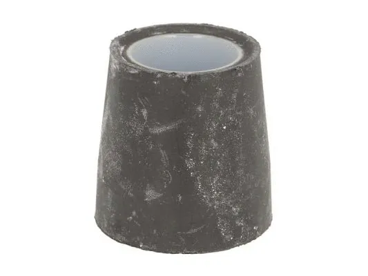 Bushing, leaf spring (STR-120136)