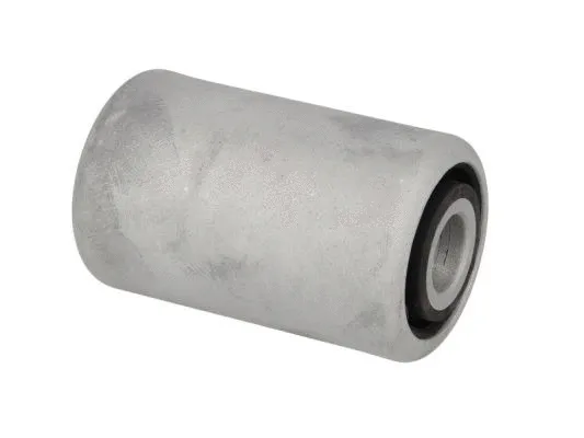 Mount, leaf spring hanger (STR-120819)