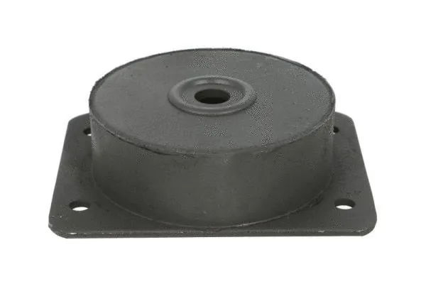 Mounting, engine (STR-1207109)