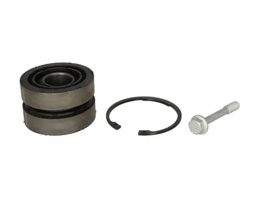 Repair Kit, control arm (STR-1203109)
