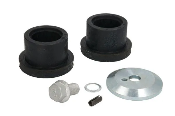 Repair Kit, stabiliser bush (STR-1209138)