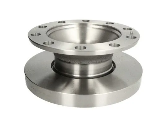 Brake Disc (02-RV031)