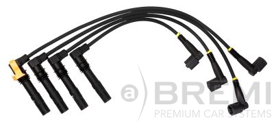 Ignition Cable Kit (300/787)