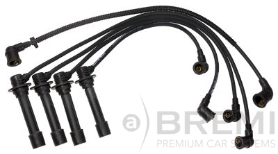 Ignition Cable Kit (300/699)