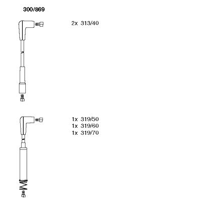 Ignition Cable Kit (300/869)