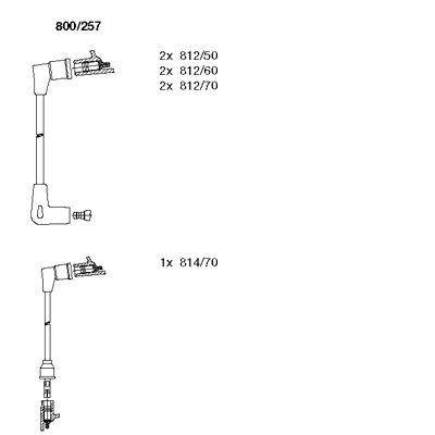 Ignition Cable Kit (800/257)