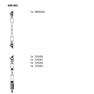 Ignition Cable Kit (600/455)