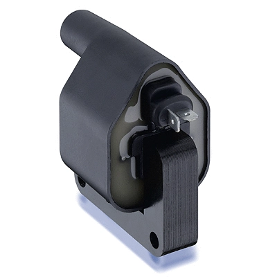 Ignition Coil (11890)