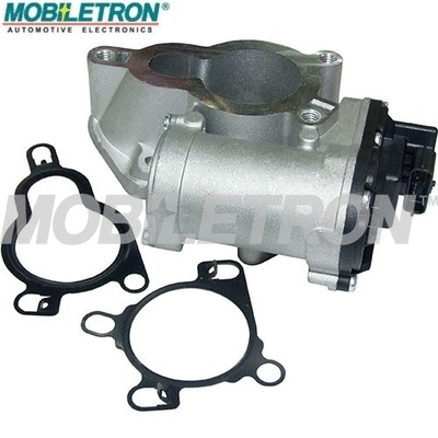 EGR Valve (EV-EU055)