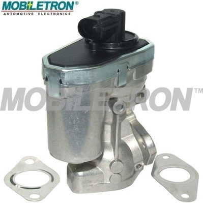 EGR Valve (EV-EU031)