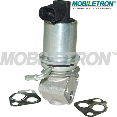 EGR Valve (EV-EU040)