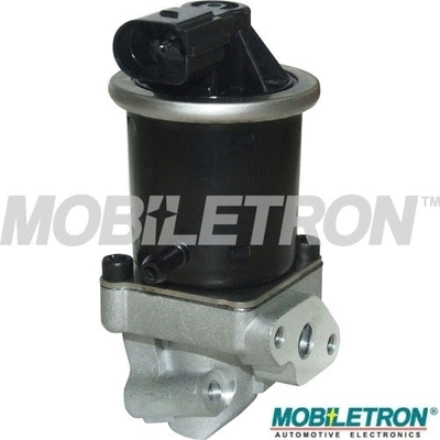 EGR Valve (EV-EU061)
