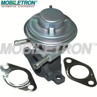 EGR Valve (EV-EU029)
