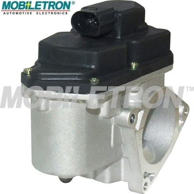 EGR Valve (EV-EU067)