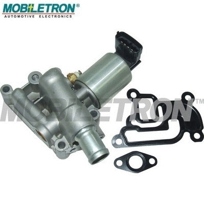 EGR Valve (EV-EU008)