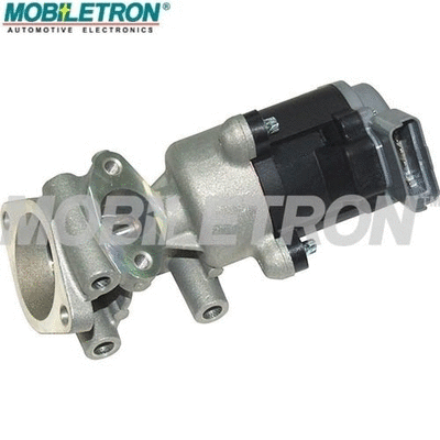 EGR Valve (EV-EU047)