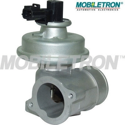 EGR Valve (EV-EU005)