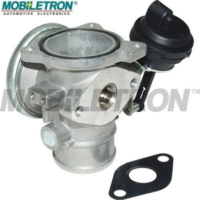 EGR Valve (EV-EU024)