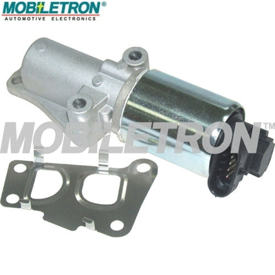 EGR Valve (EV-EU071)