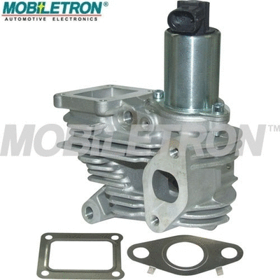 EGR Valve (EV-EU069)