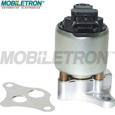 EGR Valve (EV-EU036)