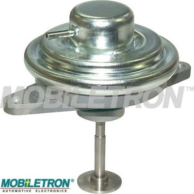 EGR Valve (EV-EU038)