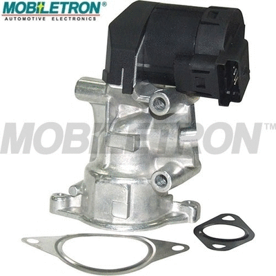 EGR Valve (EV-EU032)