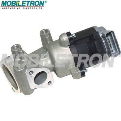 EGR Valve (EV-EU046)