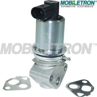 EGR Valve (EV-EU021)