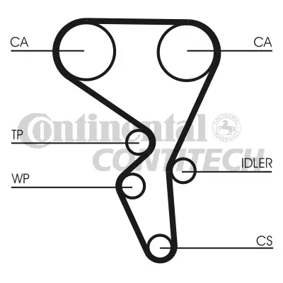 Timing Belt