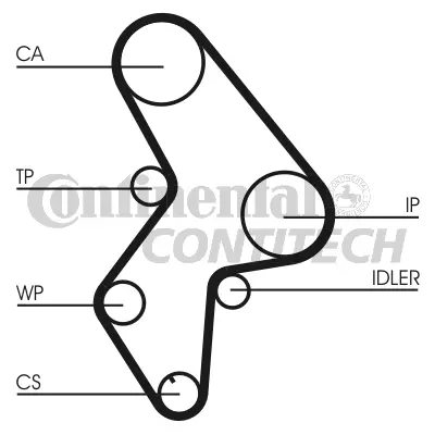 Timing Belt