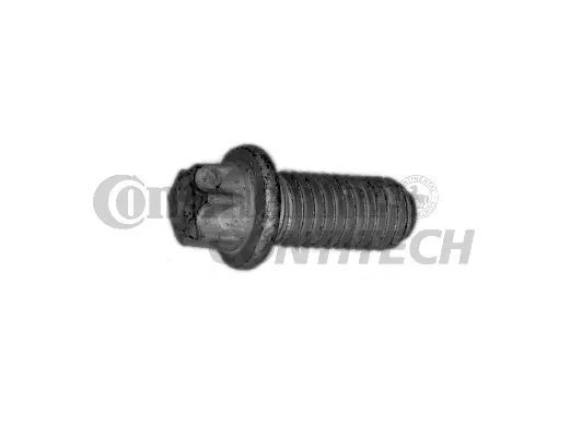Screw (V41175)