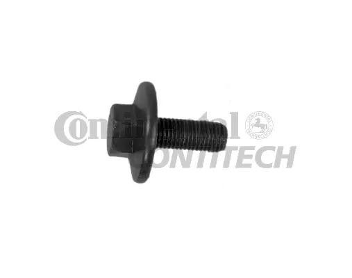 Screw (V41217)