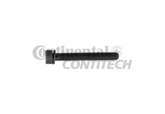 Screw (V41110)