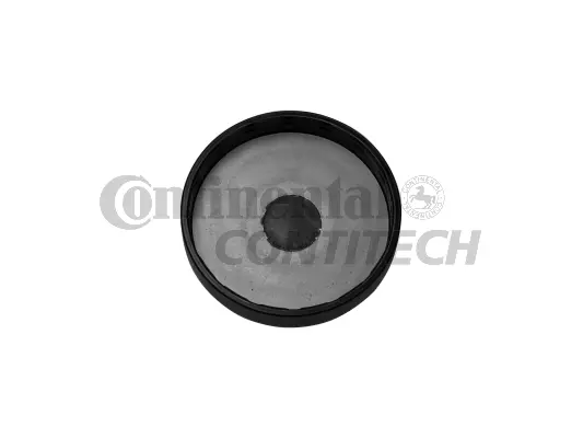 Sealing-/Protection Plugs (V71223)