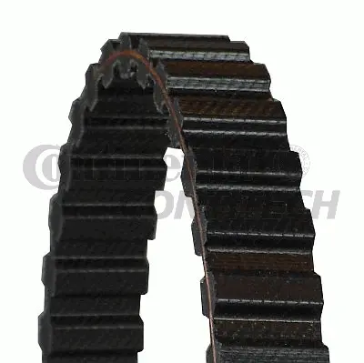 Timing Belt