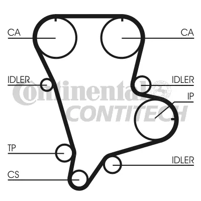 Timing Belt