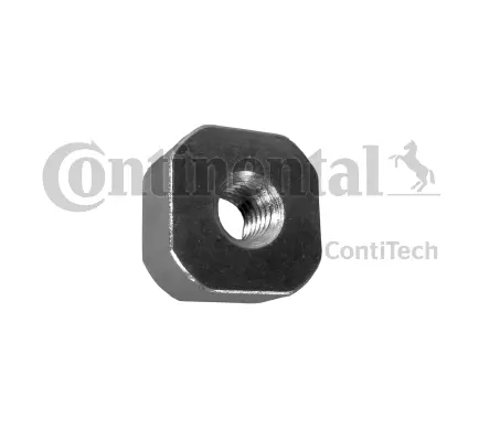 Nut (V31268)