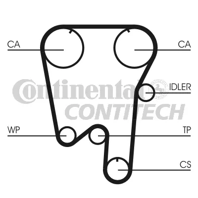 Timing Belt