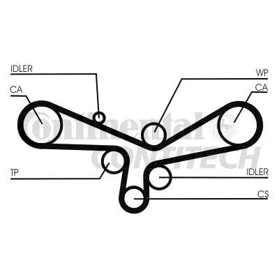 Timing Belt