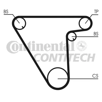 Timing Belt