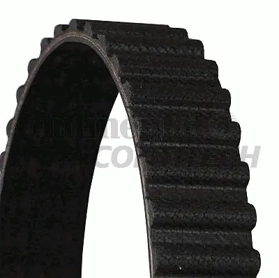 Timing Belt