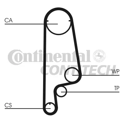 Timing Belt